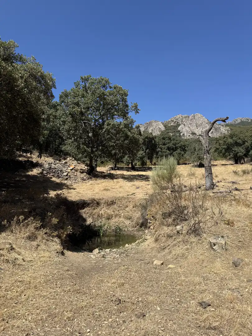 Terreno en venta en Berzocana