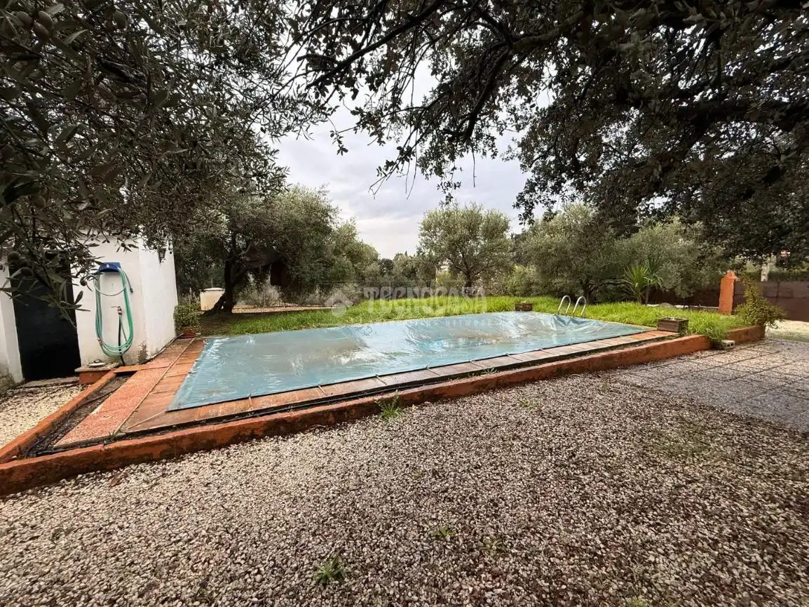 Finca rústica en venta en Los Eucaliptos, La Carlota
