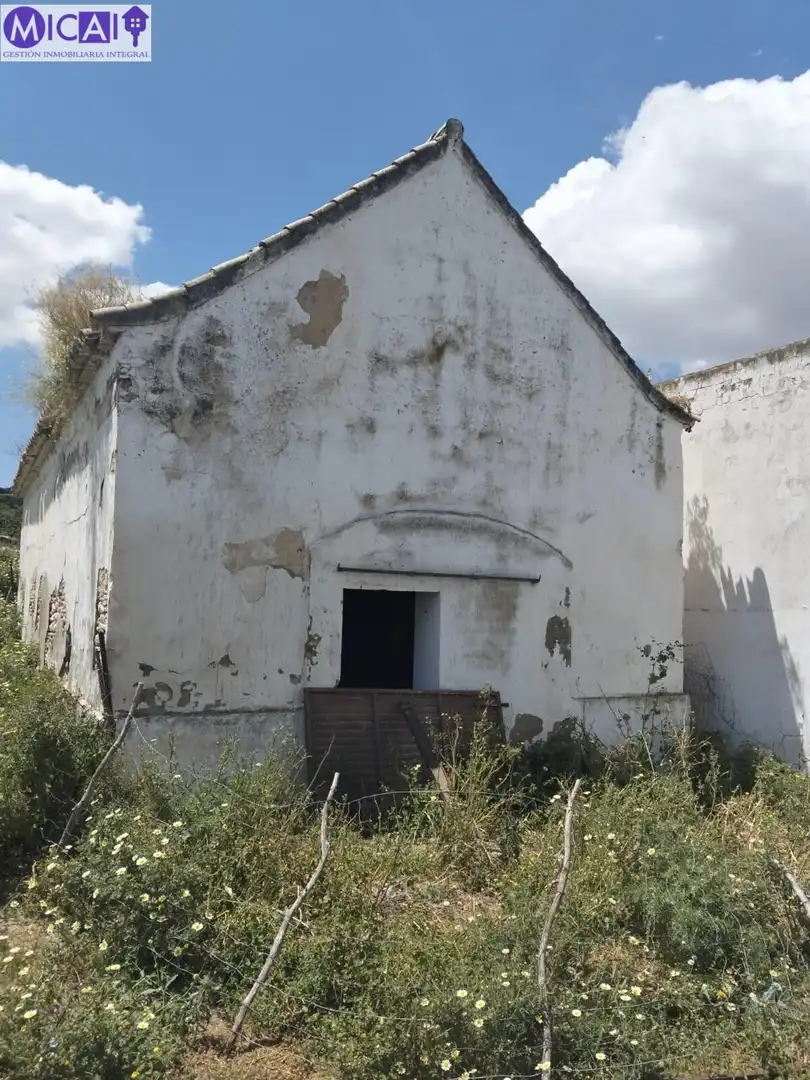 Terreny rústic en venda a Medina Sidonia, imagen 2