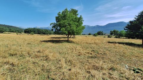 Parcelas de 2000 metros, immagine 3