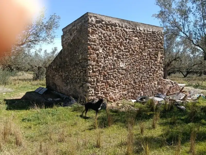 Vista exterior de Finca rústica en venda en Roquetes