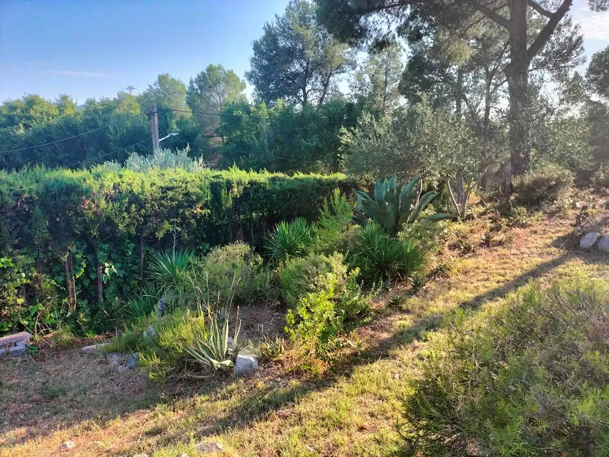 Terrenos y solares en venta en Castellbisbal, imagen 14