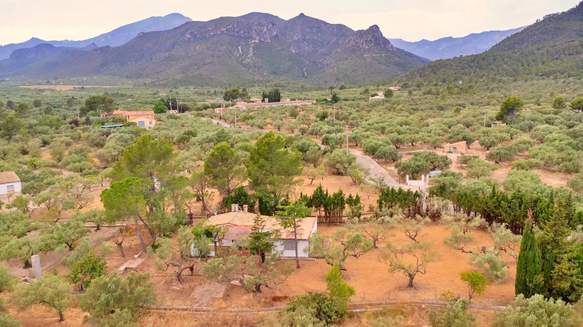 Casa o xalet en venda en Tortosa amb Jardí privat