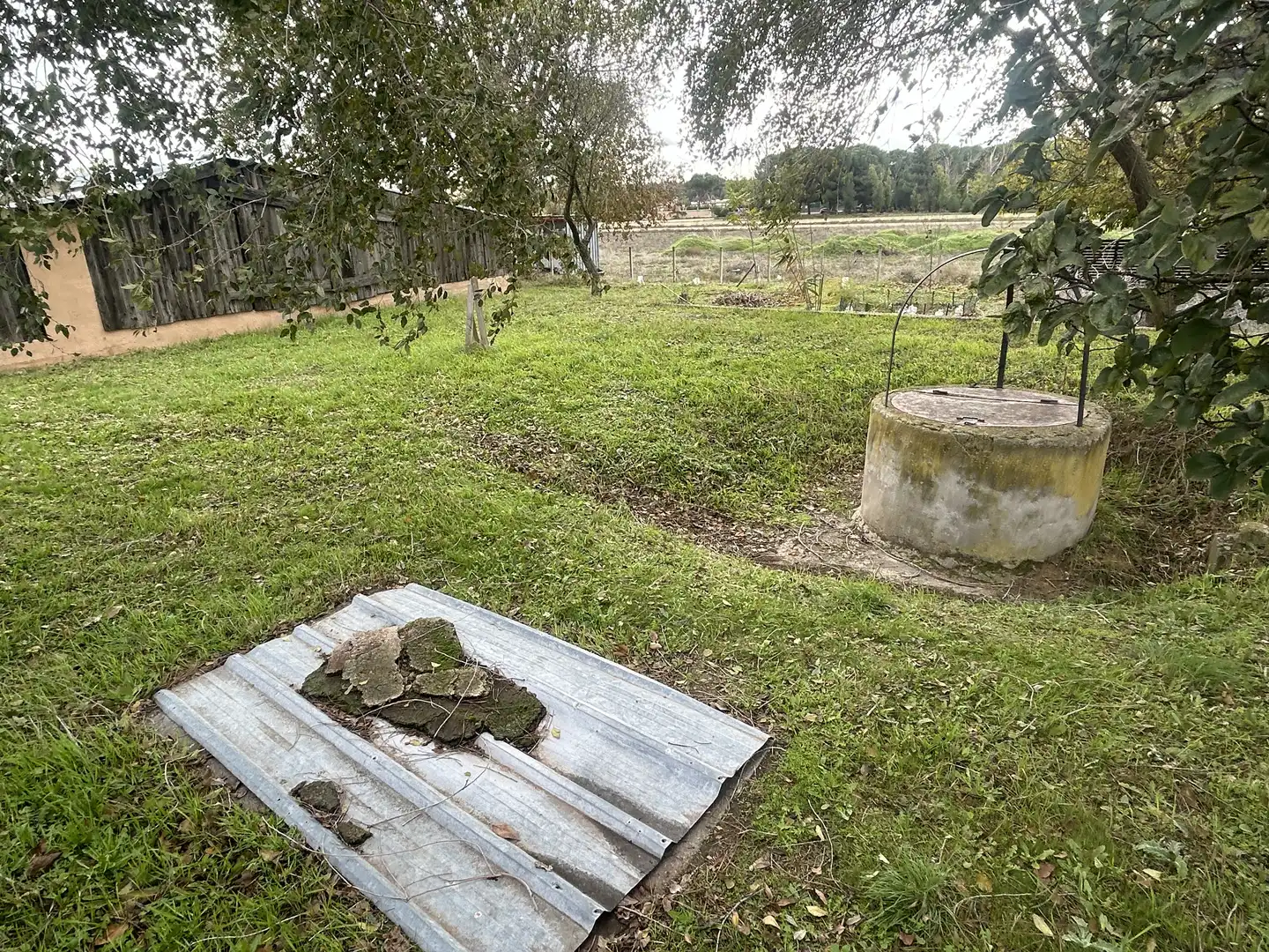 Rural land for sale in Laguna de Duero, imagen 4