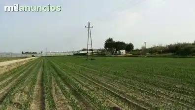 Terreni e lotti in vendita a Villanueva de la Serena