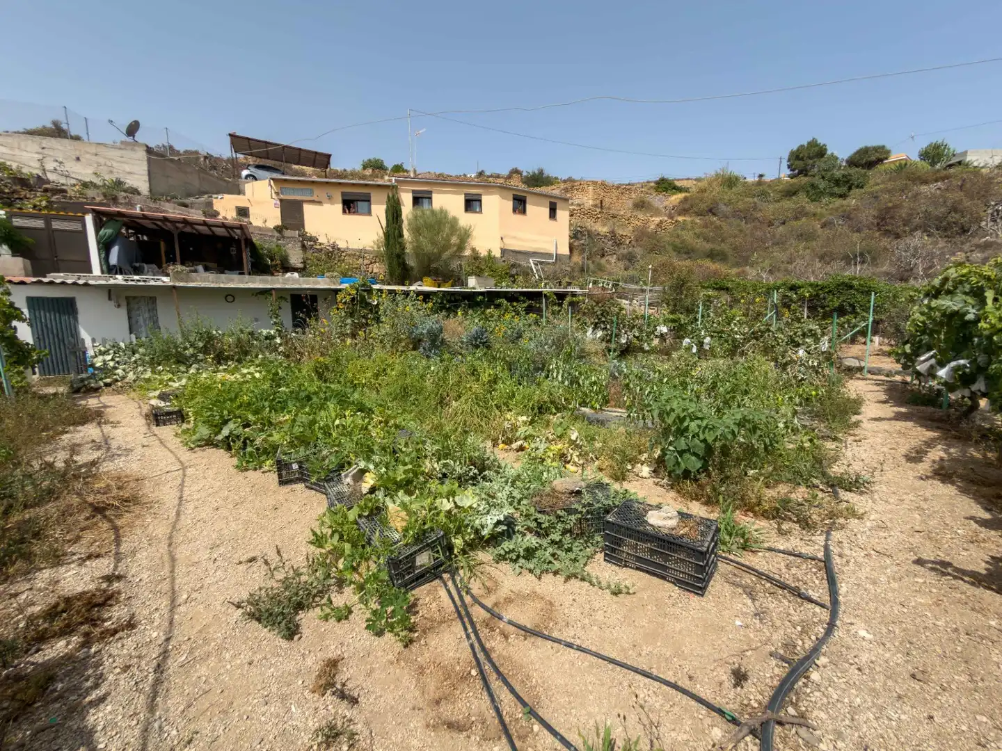 Jardí de Finca rústica en venda en Güímar