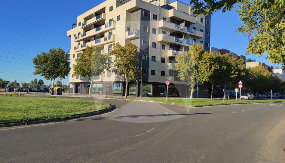 Foto 1 de Pis de lloguer a Calle Francisco Guerra, Valdepasillas - La Paz - Huerta Rosales, Badajoz