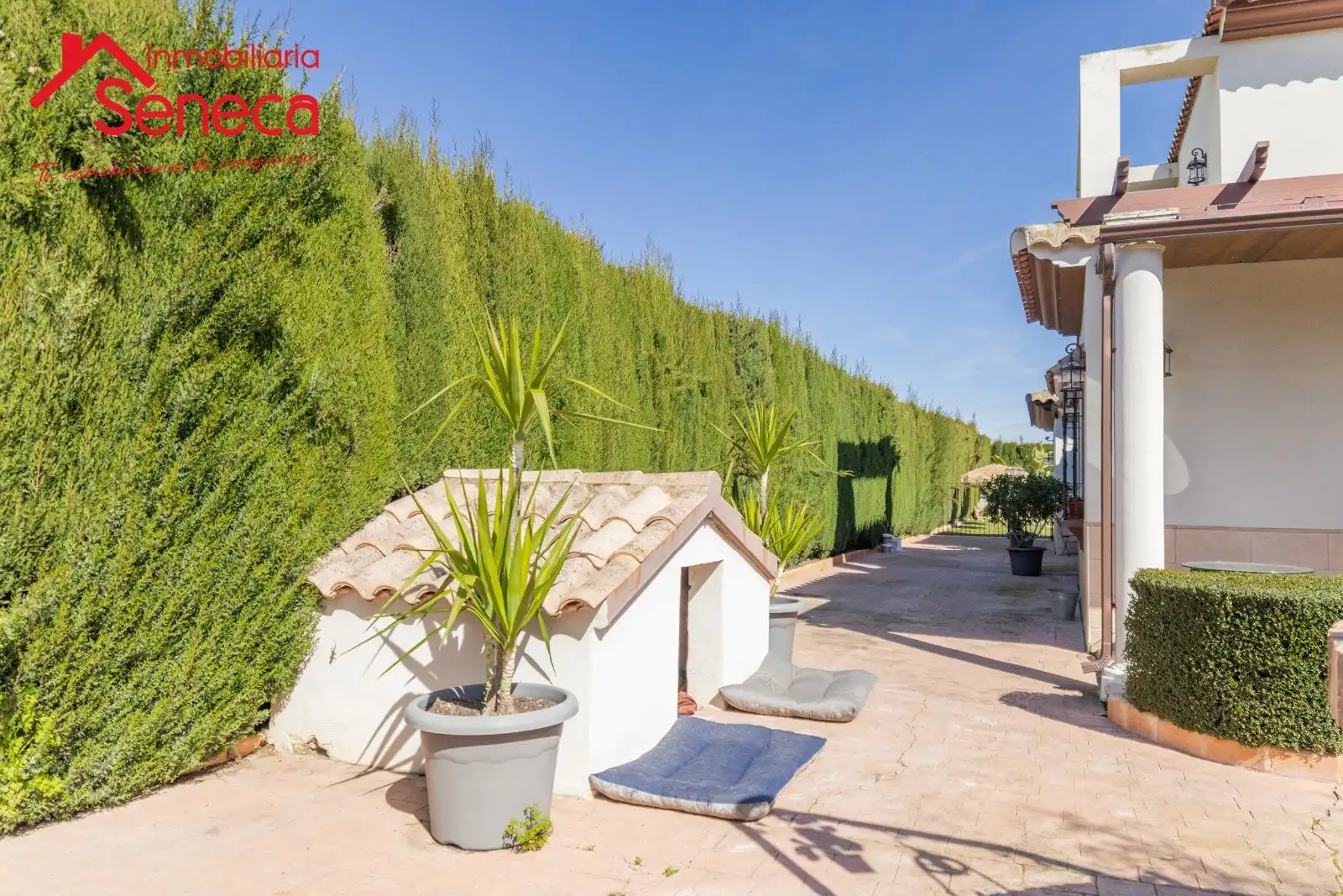 Villa mit Terrasse zum Verkauf in EL MEMBRILLAR, CASA 3 - EL RINCONCILLO, imagen 5