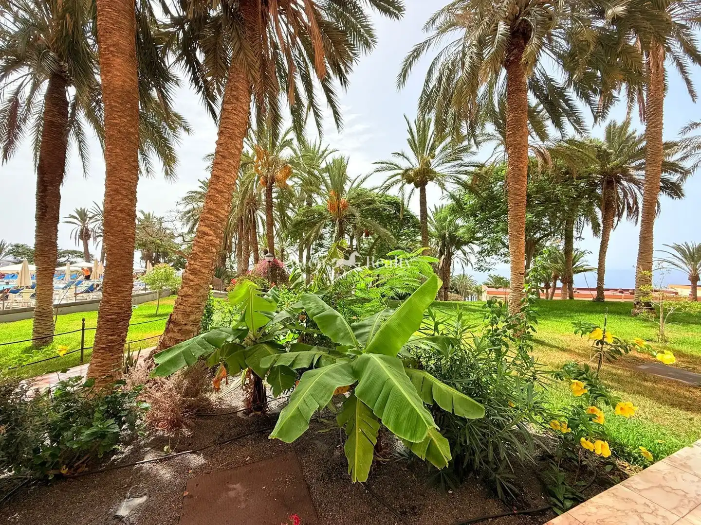 Jardí de Àtic en venda en Adeje amb Aire condicionat, Terrassa i Piscina