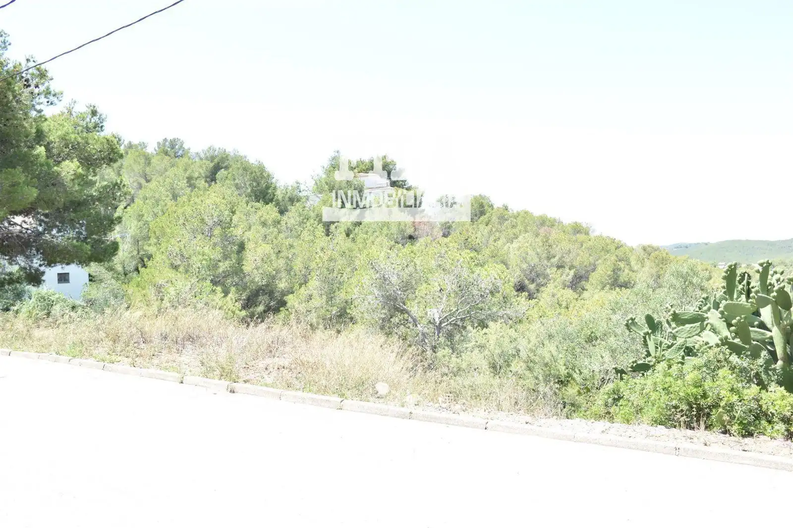 Rural land for sale in La Bisbal del Penedès, imagen 5