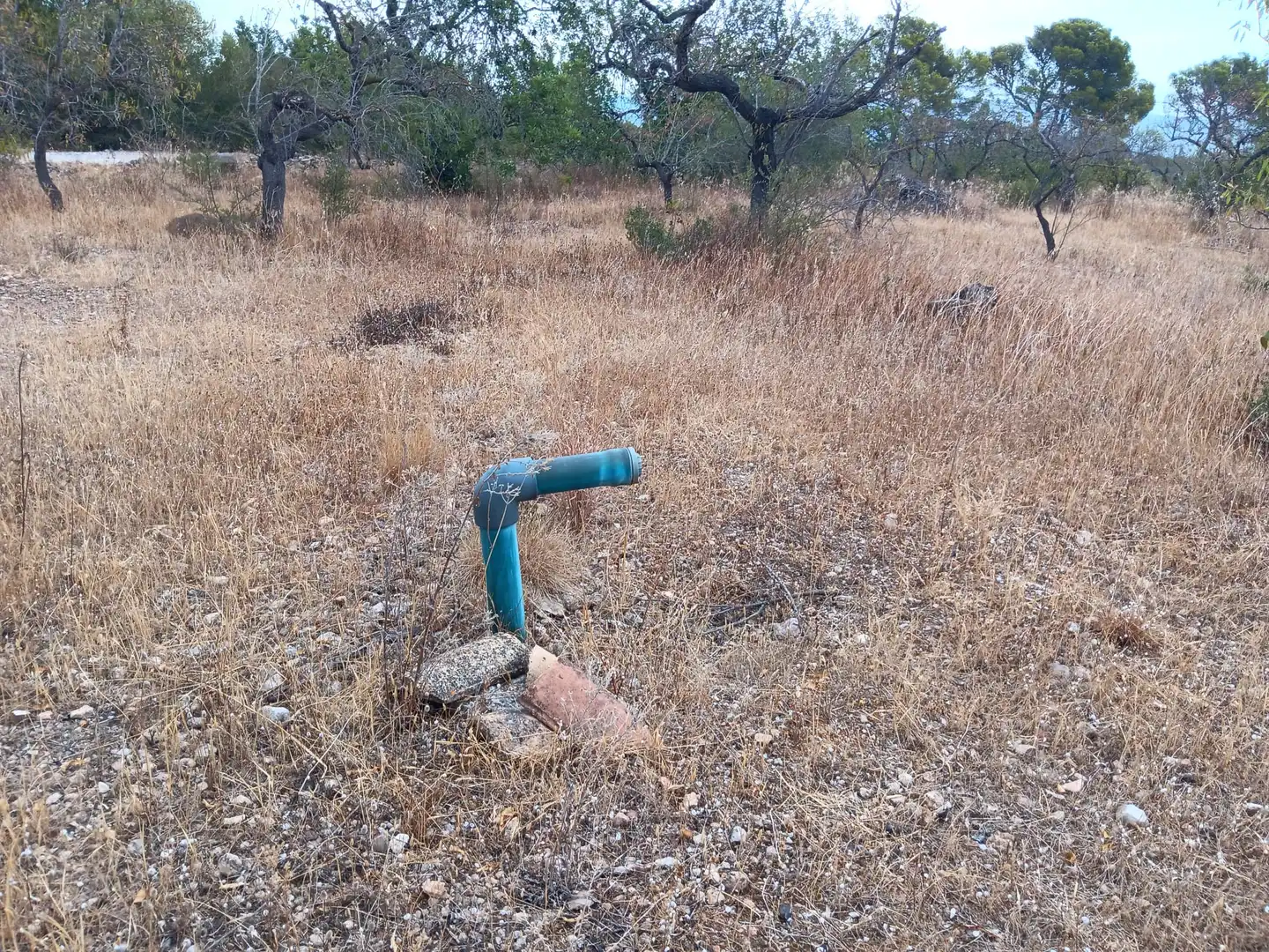 Lands and plots for sale in Roquetes, imagen 3