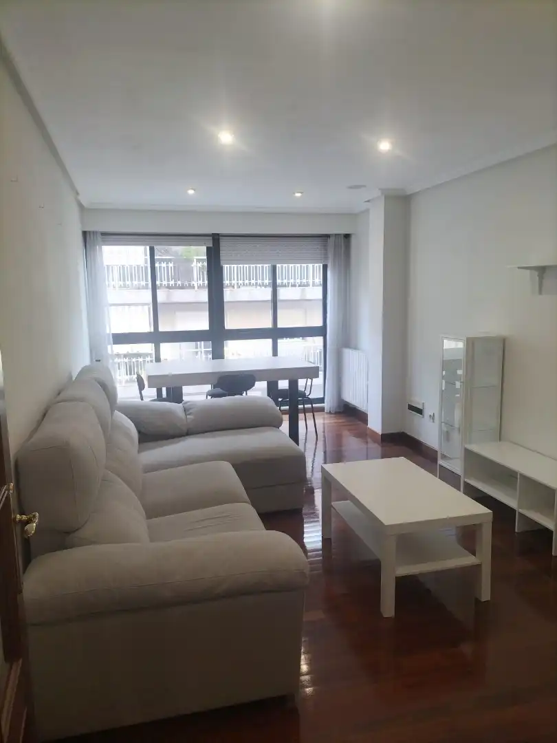 Living room of Flat for rent in Ourense Capital   with Heating, Storage room and Furnished