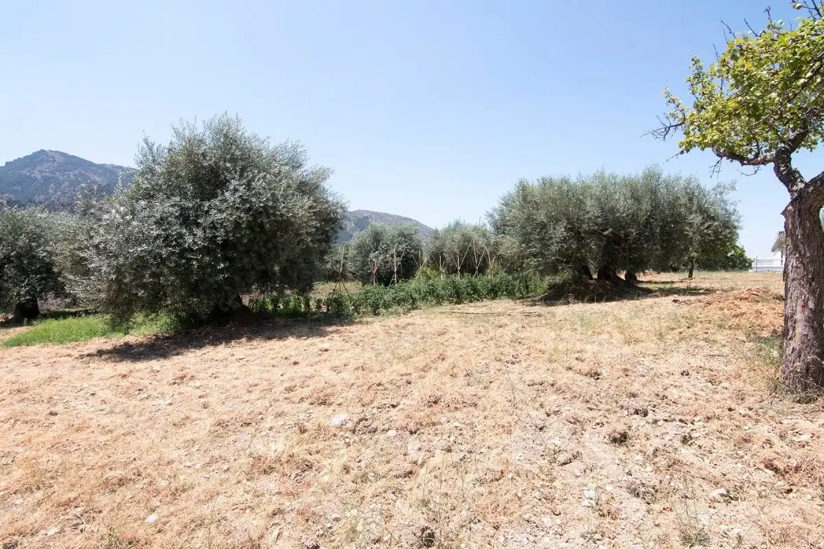 Finca rústica en venta en Güéjar Sierra con Jardín privado, Terraza y Piscina