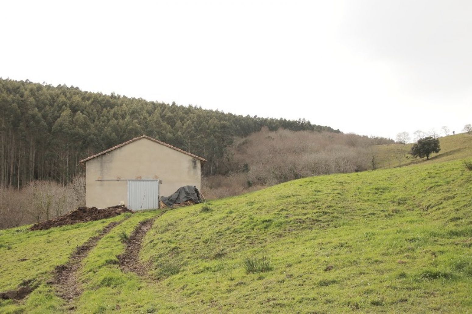 Residencial en venda en San Vicente de la Barquera
