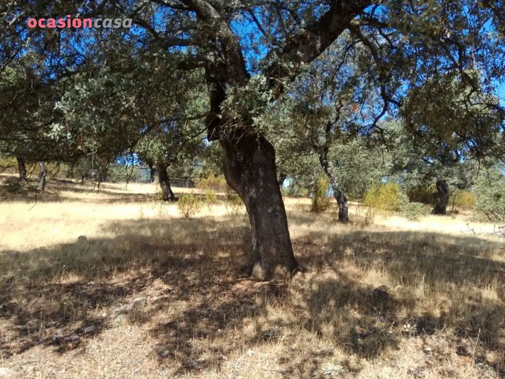 Finca rústica en venta en Villanueva del Duque