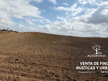 Terreno rustico in vendita a Calle San Sebastián 11