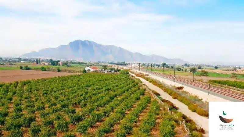 Landhaus zum Verkauf in Callosa de Segura, imagen 14