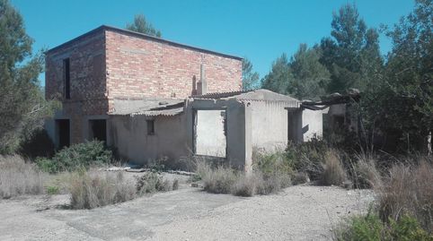 TERRENO RUSTICO, imatge 4