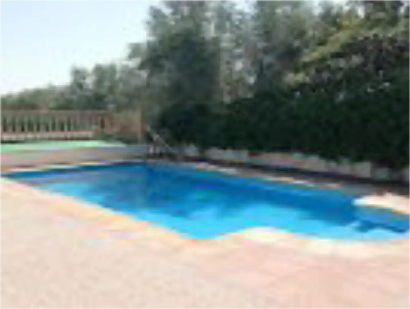 Schwimmbecken von Haus oder Chalet zur Miete in Moratalla mit Klimaanlage, Privatgarten und Schwimmbad