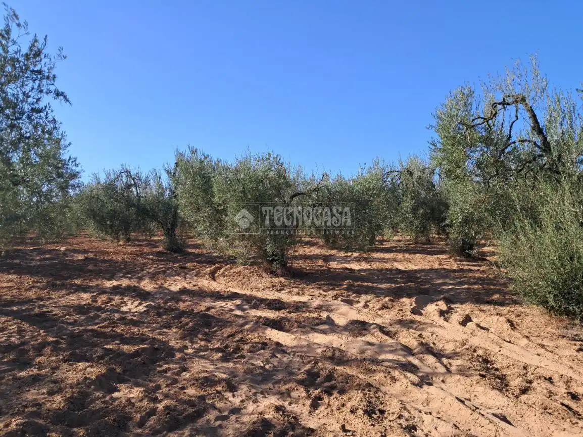 Terreni e lotti in vendita a Pilas, imagen 14