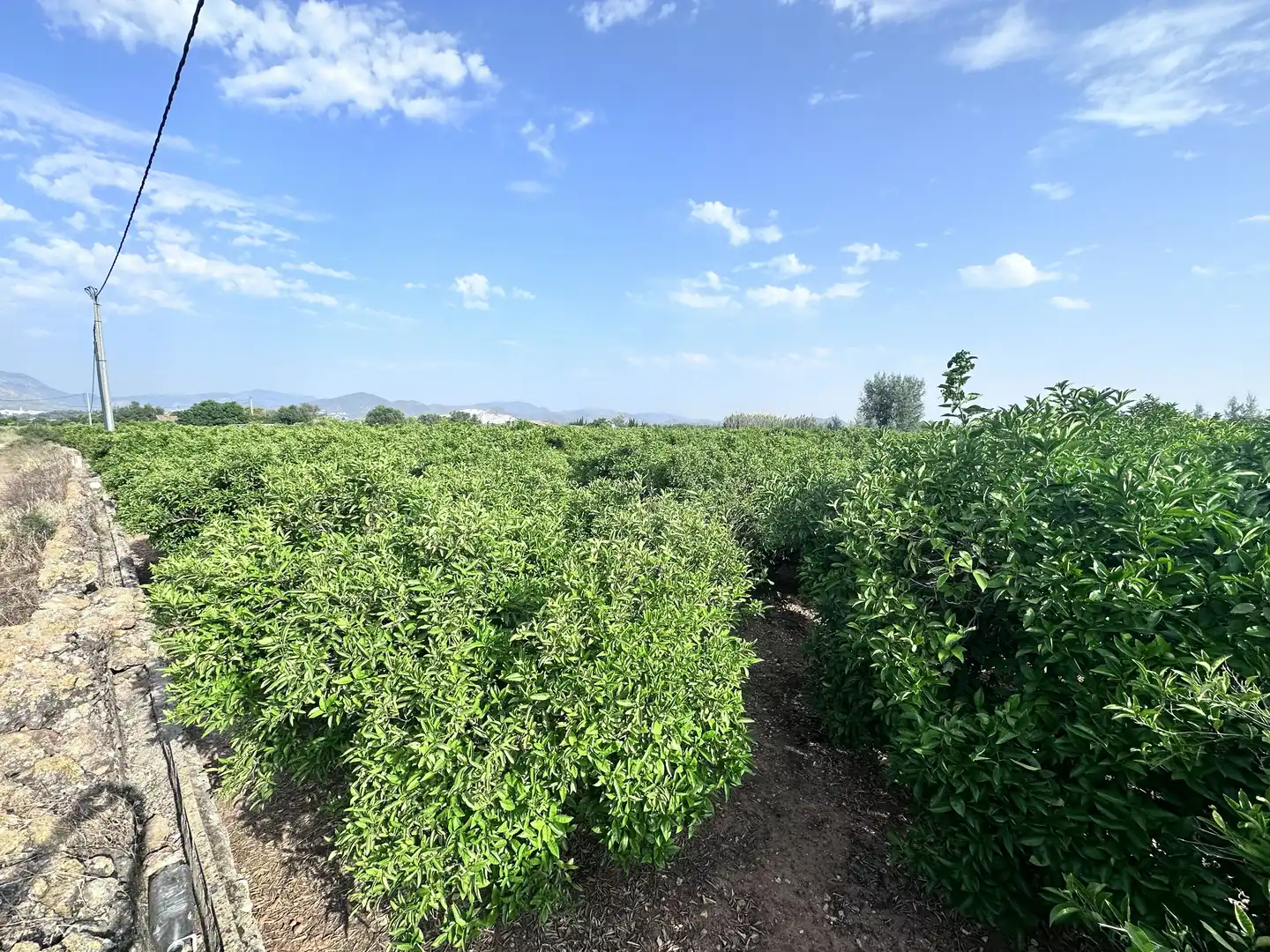 Terreno rustico in vendita a Pego, imagen 5
