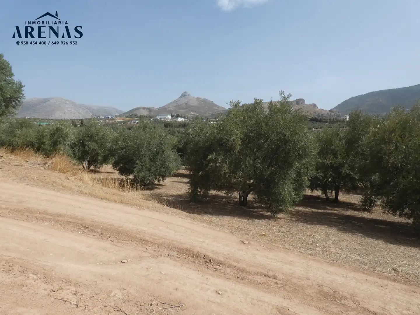 Terreni e lotti in vendita a Cogollos de la Vega, imagen 9