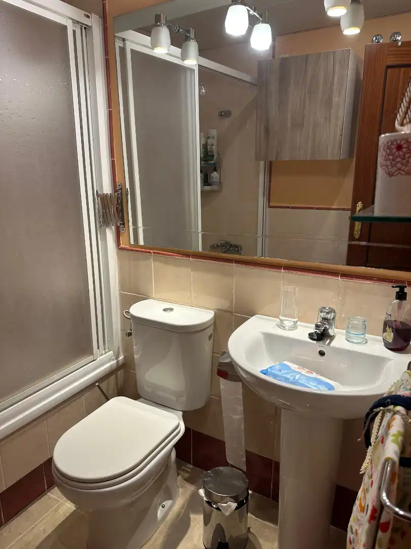 Baño de Casa o chalet en venta en Alcalá del Río con Aire acondicionado, Jardín privado y Amueblado
