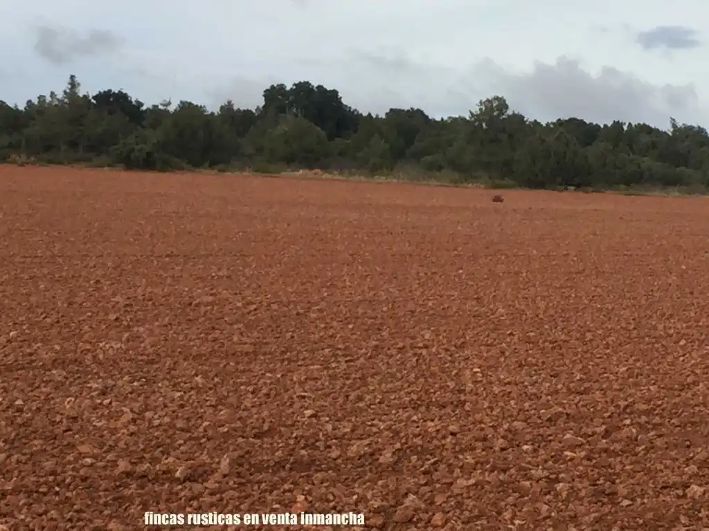 Terreni e lotti in vendita a Munera, imagen 24