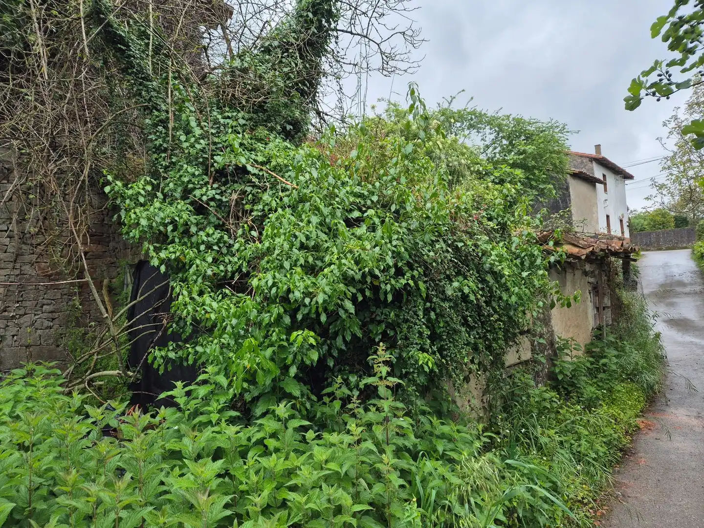 Casa o xalet en venda en Villaviciosa amb Piscina