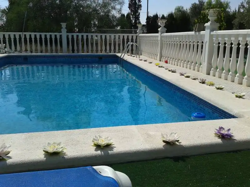 Villa avec piscine à vendre à Crevillent, imagen 16