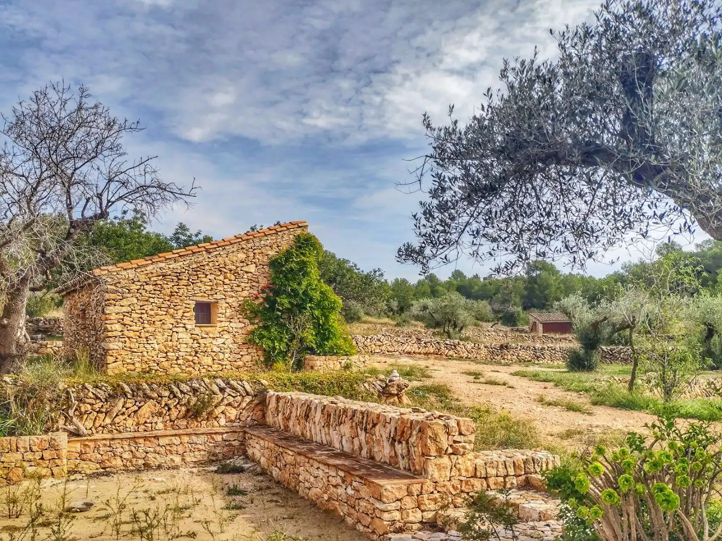 Landhaus mit Garten zum Verkauf in TV-3025 56, imagen 7