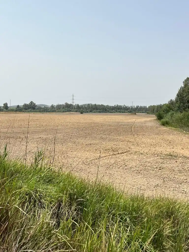 Terrenys i solars en venda a Carretera Cortes 4, imagen 10