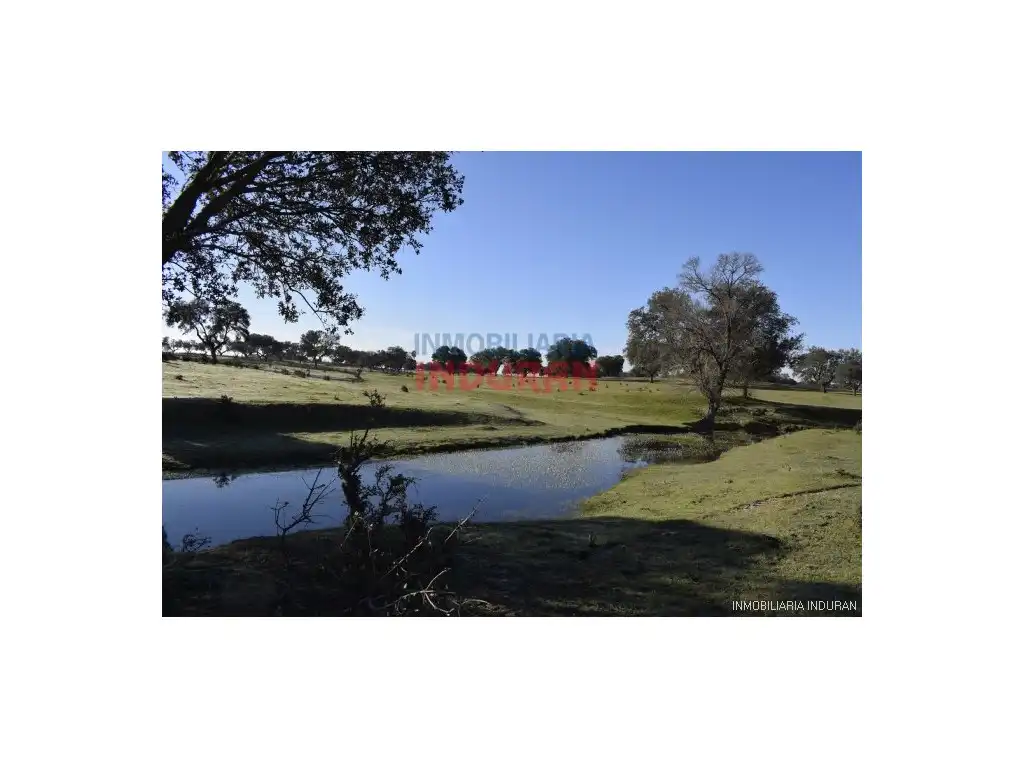 Vista exterior de Finca rústica en venta en Las Ventas de San Julián