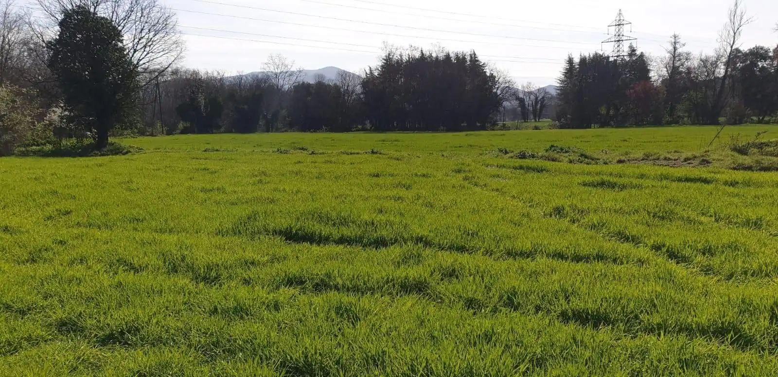 Finca rústica en venta en Sant Celoni