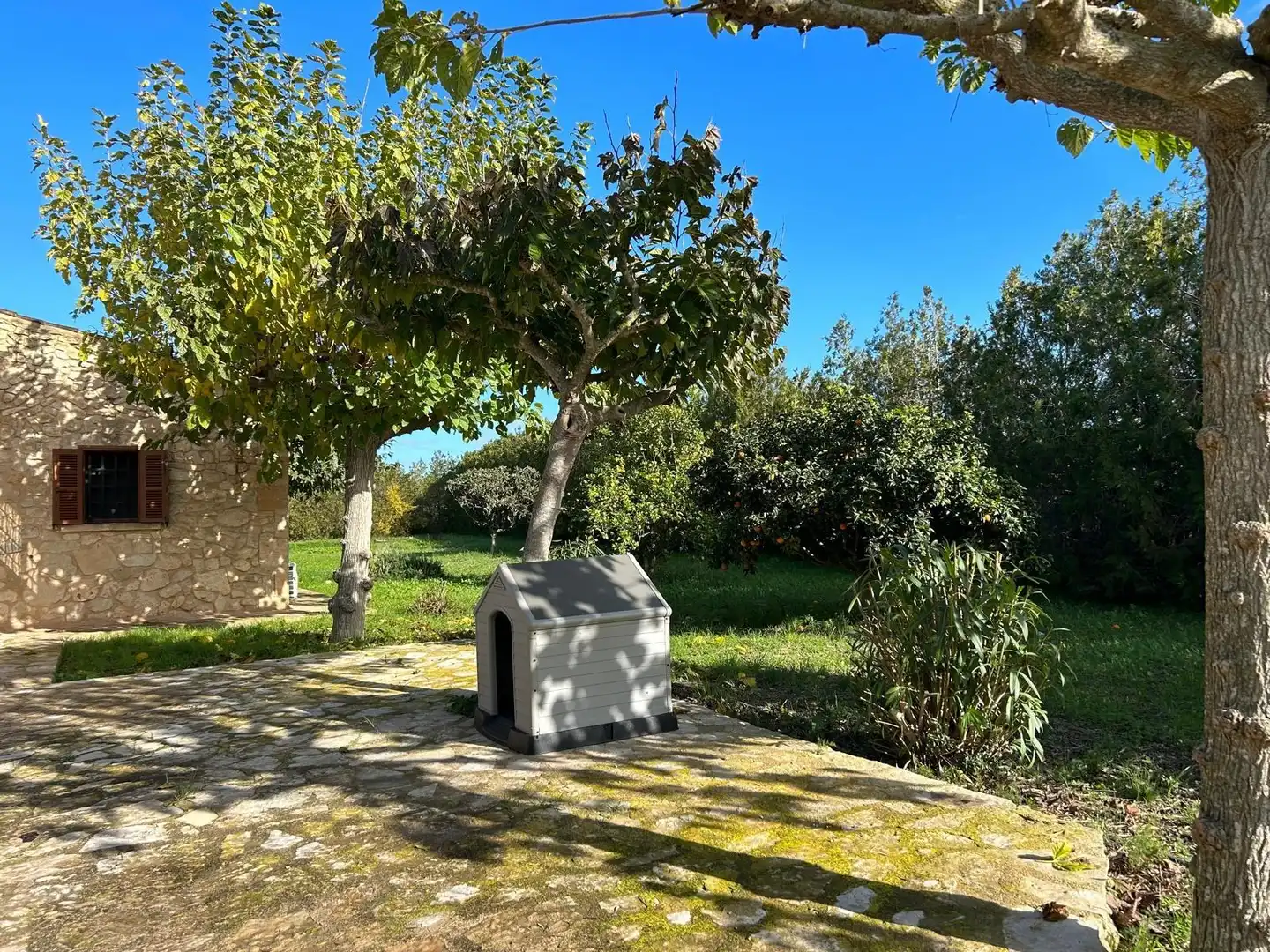 Jardí de Finca rústica en venda en Montuïri