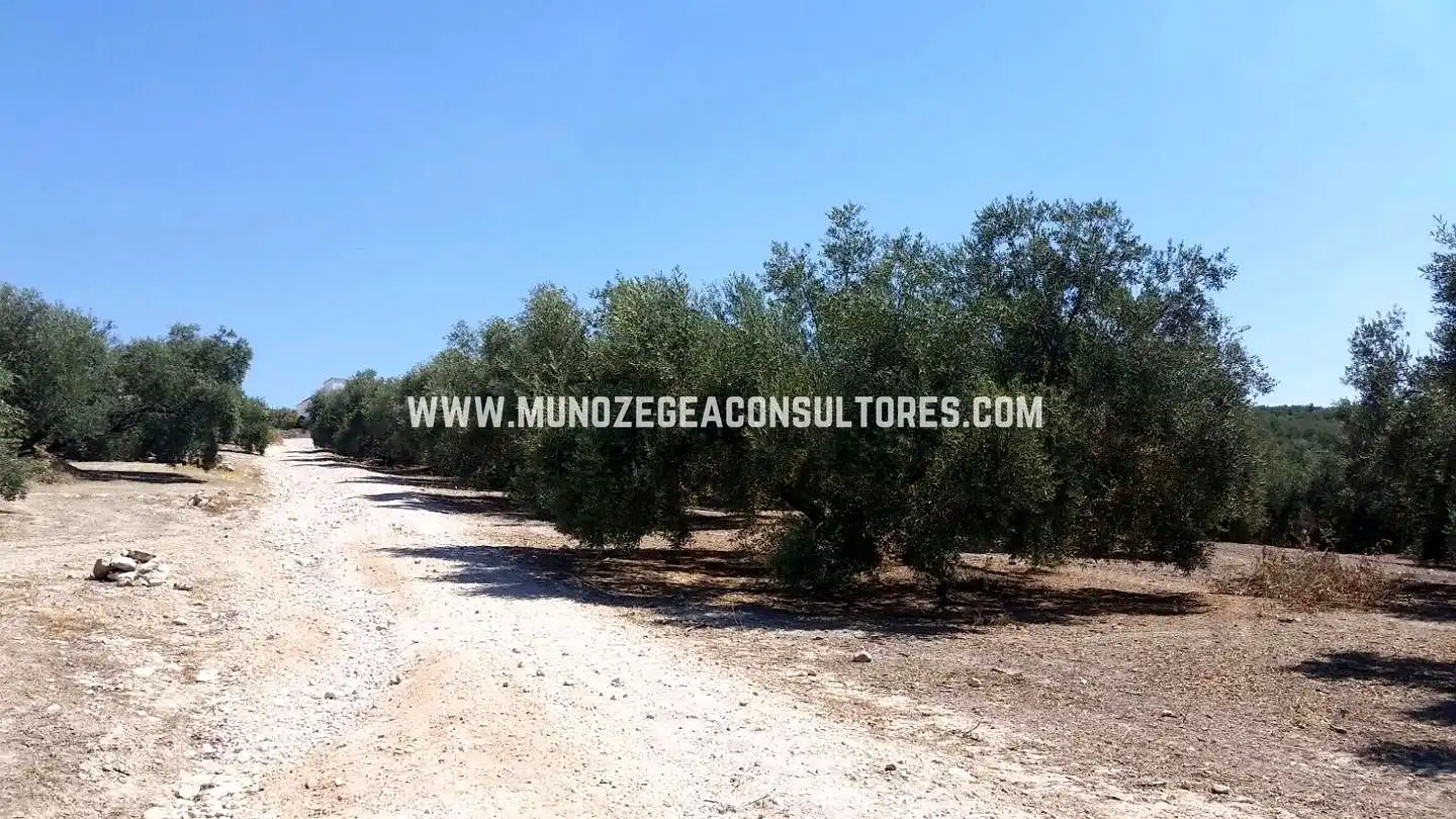 Terreny rústic en venda a Córdoba - Málaga