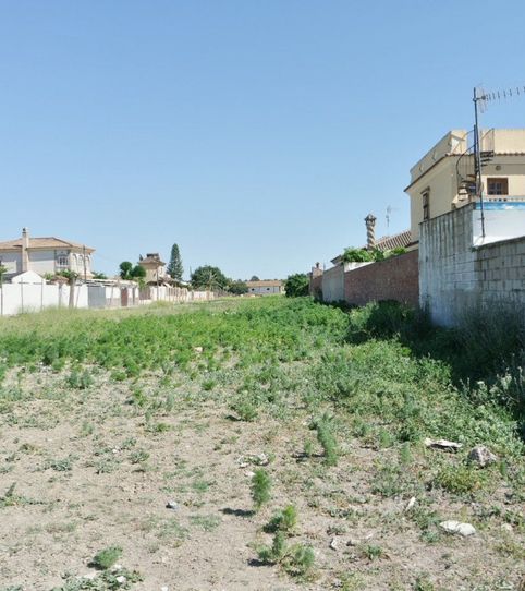 Photo 2 of Country homes for sale in Monteolivete - Camino Sevilla, Sanlúcar de Barrameda