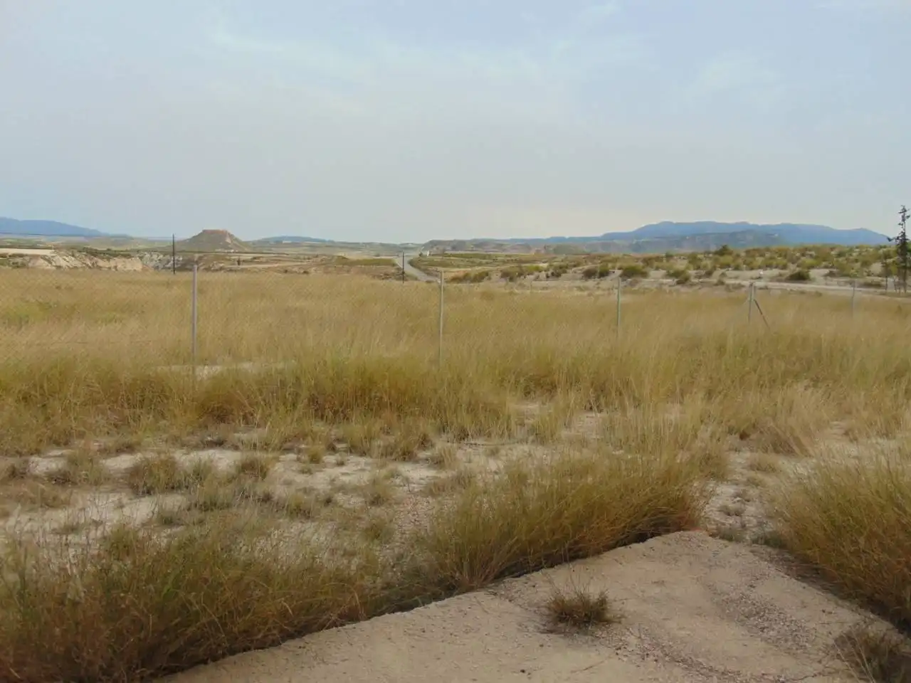 Lands and plots for sale in Calle Francisco Salzillo 21, imagen 3