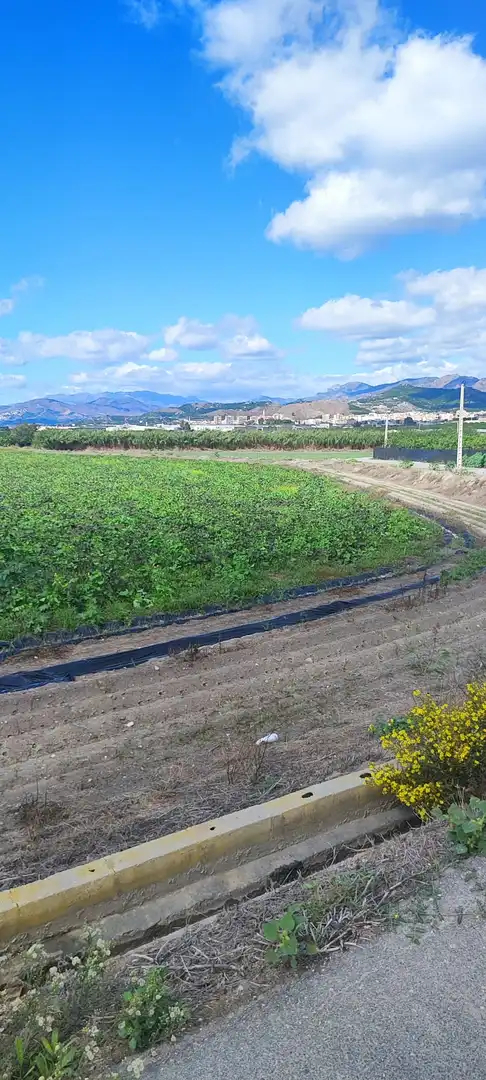 Terreno rústico en venta en Motril  ciudad