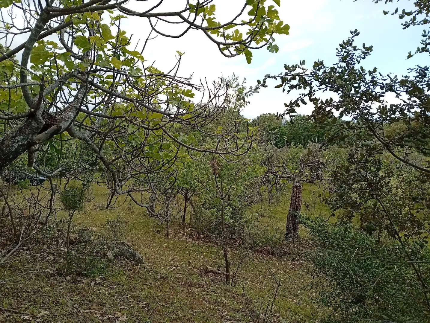 Terreni e lotti in vendita a Villanueva de la Vera, imagen 25