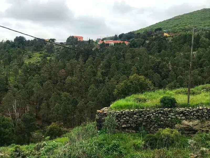 Finca rústica en venda en Moya (Las Palmas) amb Aire condicionat, Jardí privat i Terrassa