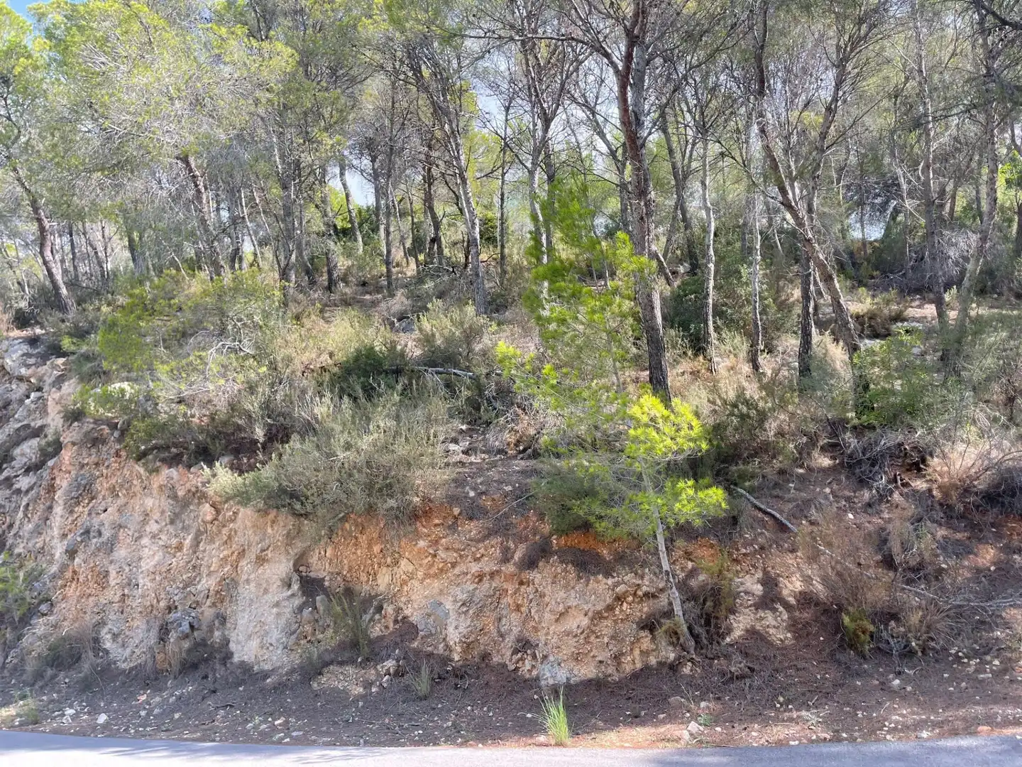 Terrenys i solars en venda a Altea la Vella, imagen 11