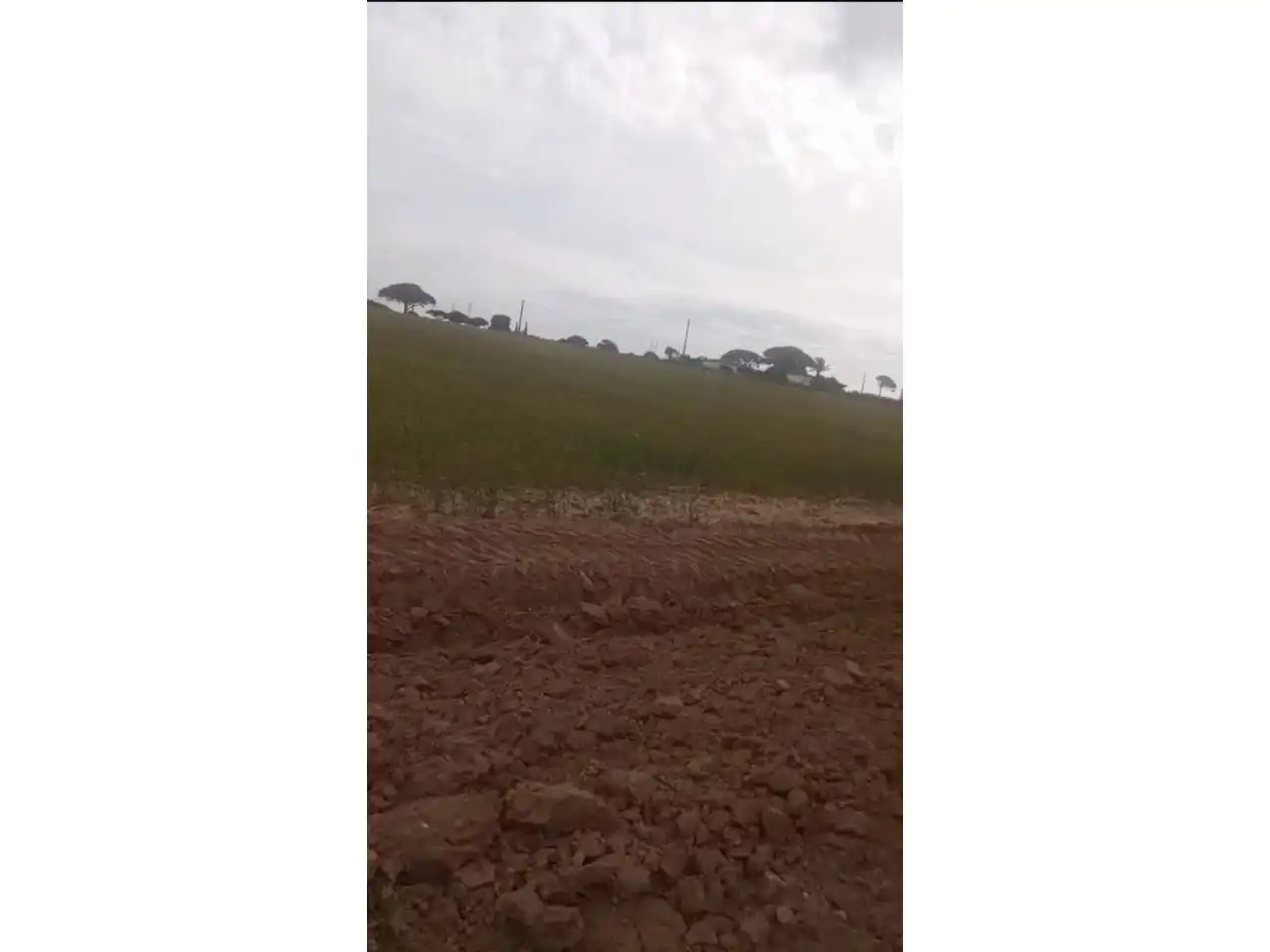 Grundstücke zur Miete in Puerto Real
