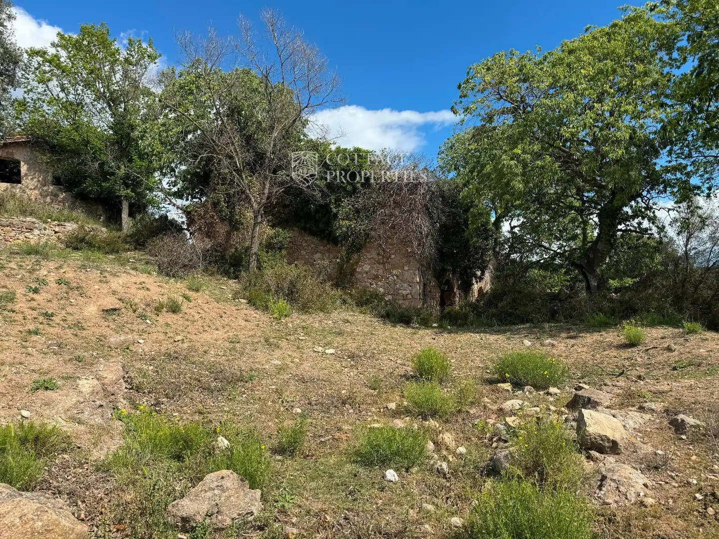 Finca rústica en venda en Cabanelles
