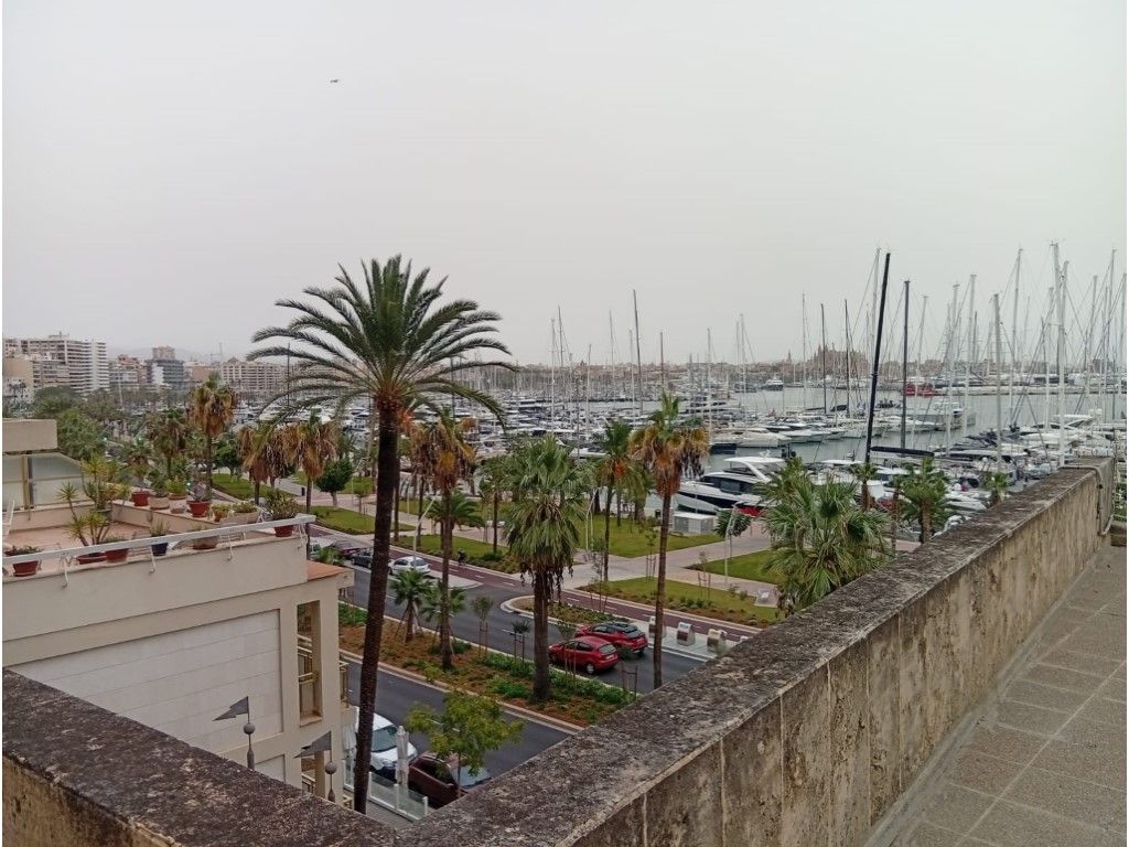 Vista exterior de Pis en venda en  Palma de Mallorca