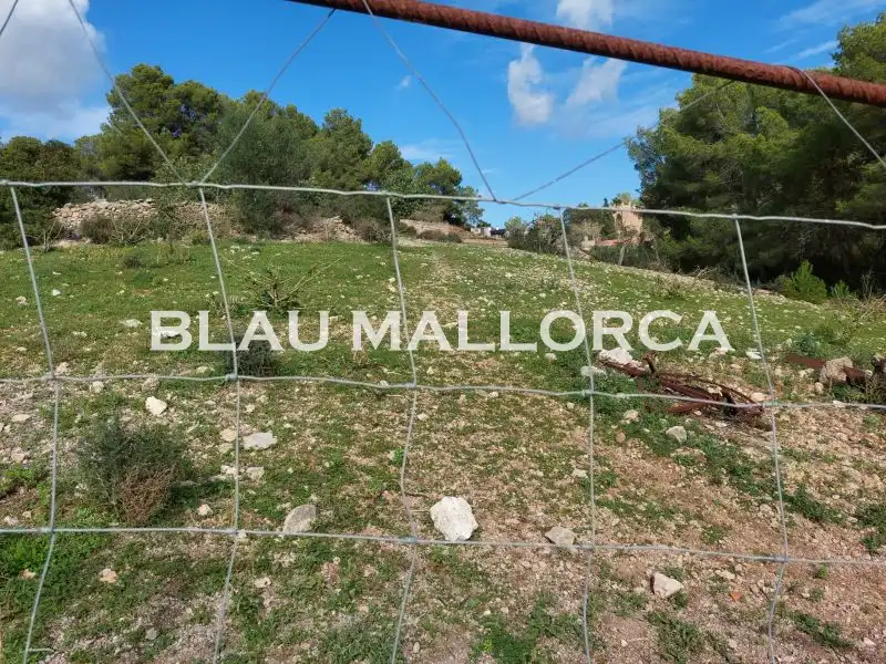 Finca rústica en venta en Son Servera