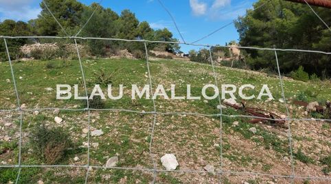 Foto 2 de Finca rústica en venta en Son Servera Poble, Son Servera