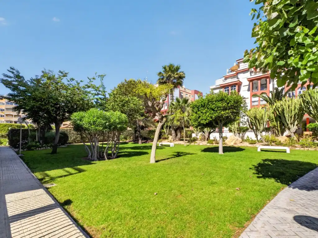 Garden of Attic for sale in Torrevieja  with Air Conditioner, Washing machine and Community pool