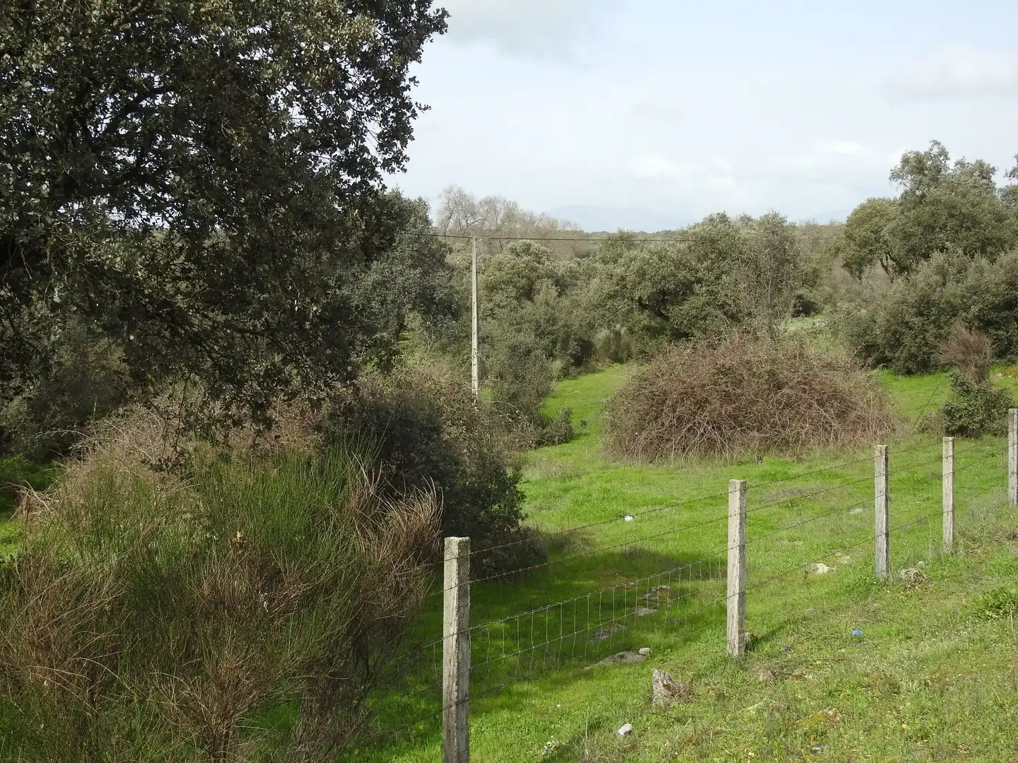 Terreni e lotti in vendita a Navamorcuende, imagen 6