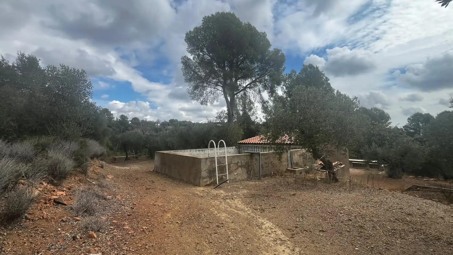 Terreno rustico in vendita a Carrer de Sant Abdó i Sant Senén, imagen 4